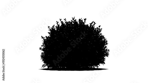 Silhouette of a Lush Green Bush on a White Background