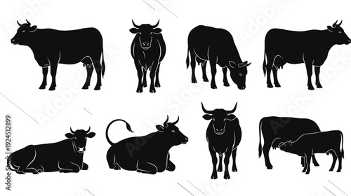 Black cow silhouette vector illustration collection with different poses, standing, grazing, and resting animals, perfect for agriculture, livestock, dairy farm, and nature design themes