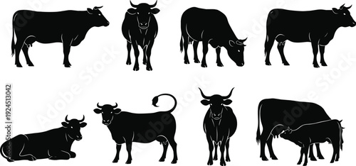 Black cow silhouette vector illustration set with various poses, standing, grazing, and lying animals, perfect for farm, dairy, agriculture, and livestock design themes