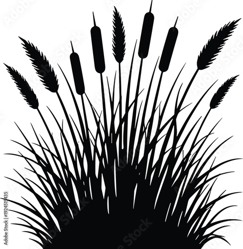 Black silhouette of cattails and marsh grass reeds, aquatic wetland plant vector illustration, nature landscape element for pond and lake.