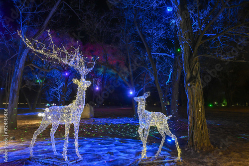 deer in the forest during chinese new year in chengde mountainnresort