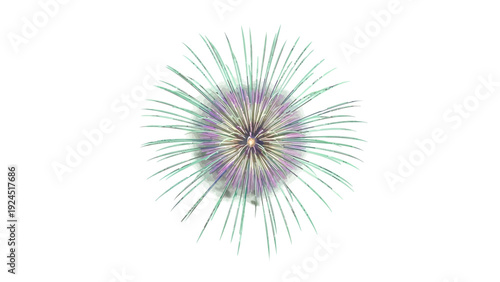 Bright fireworks burst in purple and green against a white background.