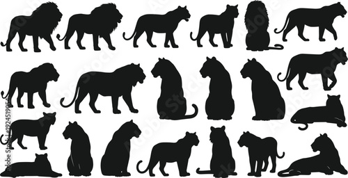 Big cat silhouettes vector collection featuring lions, tigers, and panthers in multiple poses, black wildlife animal icons for safari, nature, and conservation design