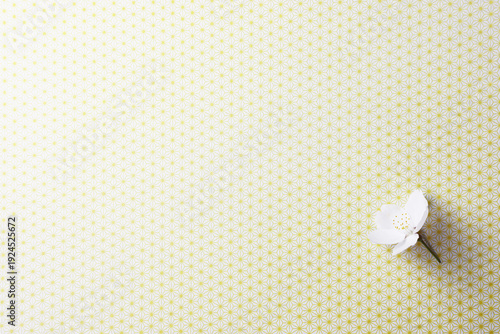 和柄背景に一輪の桜