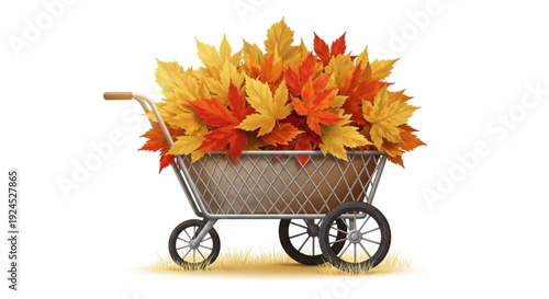 Autumn leaves in a metal wheelbarrow on grass with vibrant orange yellow and red foliage seasonal gardening concept