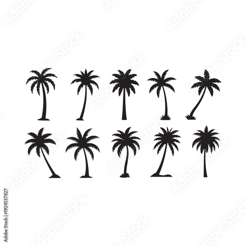 Collection of black silhouette palm trees in varying shapes and sizes