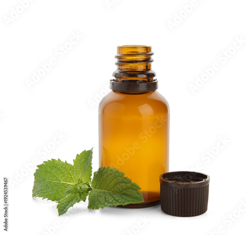 Bottle of fresh mint essent...