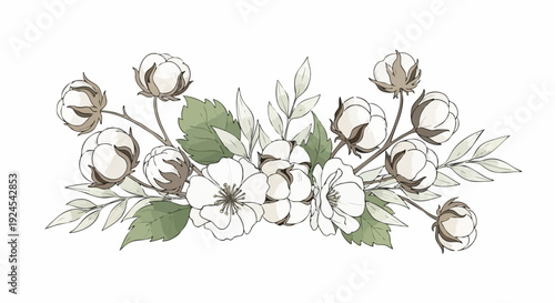 Watercolor illustration of cotton flowers and leaves arrangement for design.