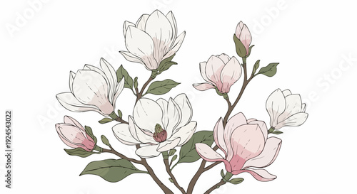 Delicate Magnolia Blossoms Branching Out in a Gentle Arrangement.