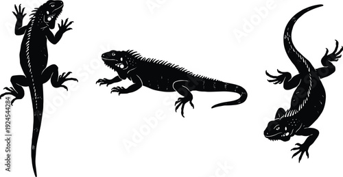 Black iguana and lizard silhouettes in multiple poses, detailed reptile animal vector illustration isolated on white background for wildlife, logo, and design use