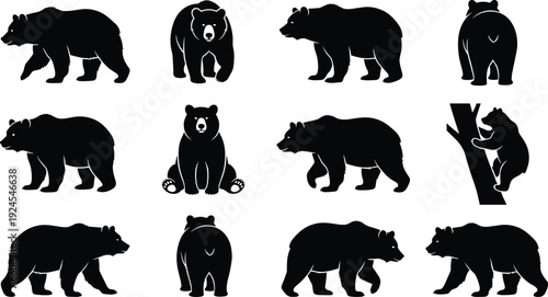 Bear silhouette collection showing wild bears in multiple poses and angles, isolated on white background, wildlife animal illustration set, nature, forest and predator concept