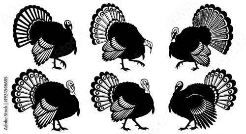 Collection of black silhouetted turkeys in various dynamic poses showcasing their vibrant tail feathers