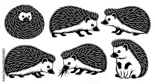 Collection of hedgehogs in various poses and actions, showcasing different facial expressions and body language in a simple illustration style