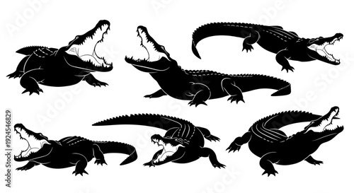 Collection of alligators in various poses and silhouettes on a clean background