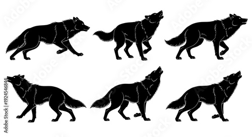 Multiple wolf silhouettes in various walking poses, vector illustration on a clean background