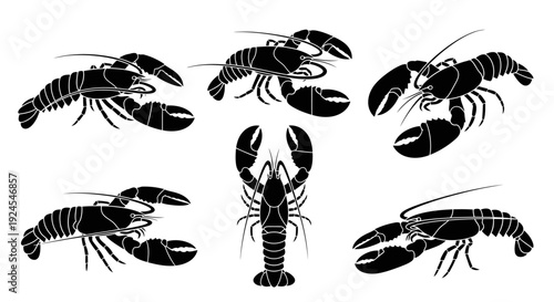 Collection of crustacean illustrations featuring lobsters from various viewpoints and orientations on a clean background