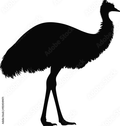Emu silhouette illustration featuring Australian flightless bird isolated on white background for wildlife logo design, nature education, branding projects, vector graphic use