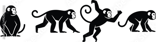 Monkey Silhouette Evolution Sequence Showing Playful Primate Poses, Black Vector Illustration Isolated on White Background for Education, Behavior, and Wildlife Design Concept