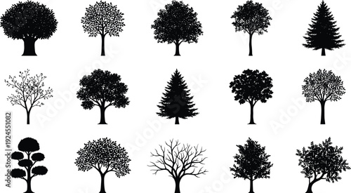 Collection of highly detailed black tree silhouettes with realistic leaf textures including oak pine maple and deciduous varieties for nature landscape and architectural visualization