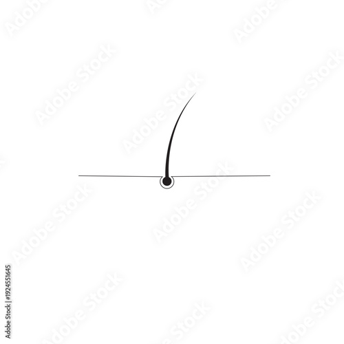 Minimal black and white vector illustration of hair follicle cross section on scalp, medical anatomy concept of hair growth and dermatology.