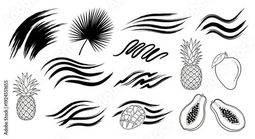 Tropical Fruit and Abstract Brush Strokes Collection.