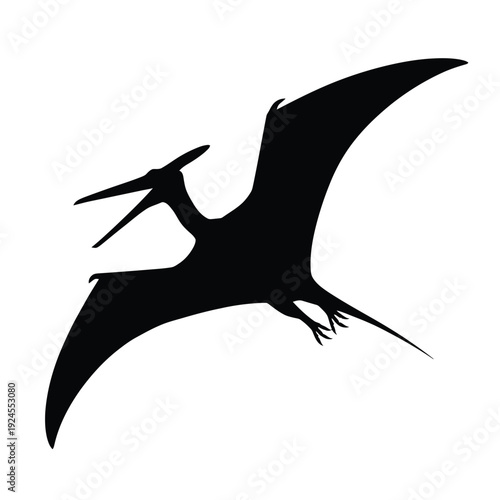 Silhouette of a pterodactyl in flight wings fully extended