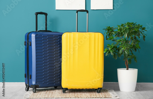 Houseplant and suitcases ne...