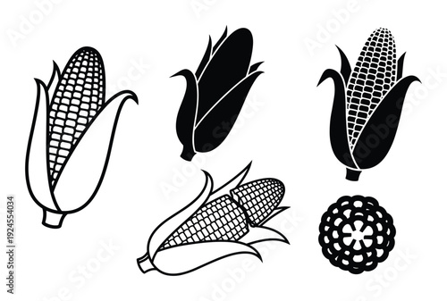 Black and white corn cob vector illustrations, different styles of corn with husk and grains, agriculture harvest