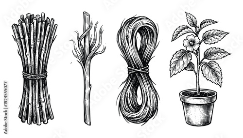Bundle of sticks, twig, rope and potted plant in vintage engraving style line art illustration