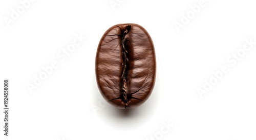 A single roasted coffee bean on a white background