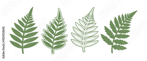 Four Green Fern Fronds Illustrations Set on White Background, Various Designs