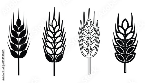 Four wheat ears vector illustration in black and white, crop grain symbol, agriculture design element, line art