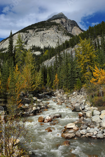A serene autumn vista in Banff National Park in Alberta, Canada.