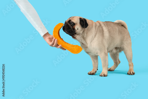 Female hand with pumpkin an...