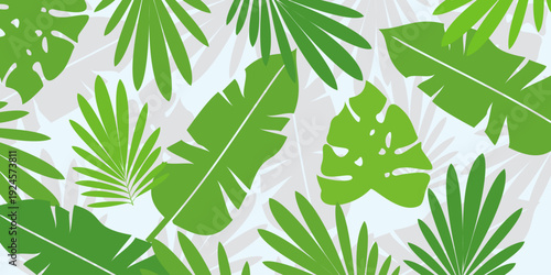 Leaves background with summer fun design concept, abstract illustration with exotic jungle leaves, colorful design, summer background, tropical leaves.Tropical leaf background, palm leaves, monstera