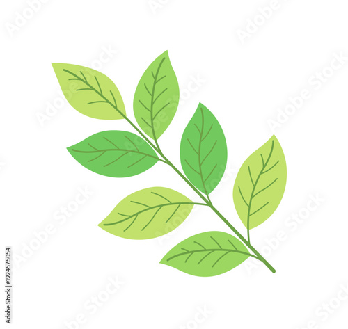 グリーンリーフパーツセット｜植物フラットベクター