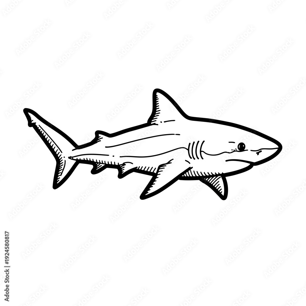 Obraz premium Black and White Shark Illustration.