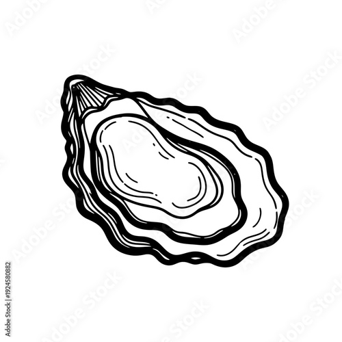 Black and White Oyster Shell Illustration.