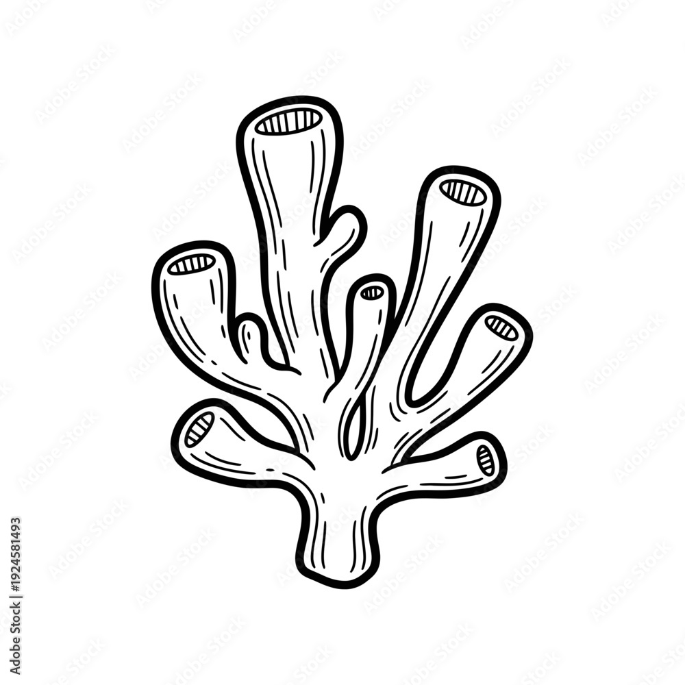 Fototapeta premium Coral Illustration Simple Black White.