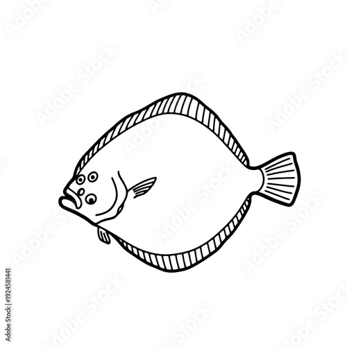 Simple Line Drawing of Flatfish.