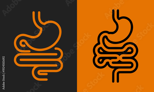 Abstract Line Art Illustrations of the Human Digestive System, Featuring Stomach and Intestines on Contrasting Backgrounds