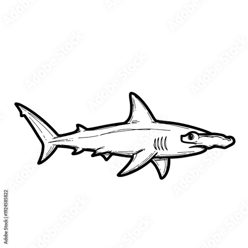 Black and White Shark Illustration.