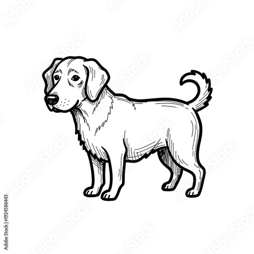 Dog Standing Profile Line Art.