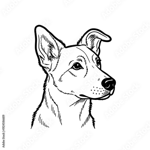 Black and White Dog Illustration.