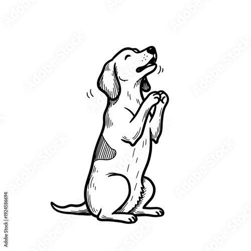 Dog Sitting on Hind Legs Howling.