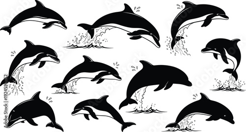 Dolphin silhouettes collection jumping and swimming with water splashes isolated on white background marine wildlife illustration - flavector