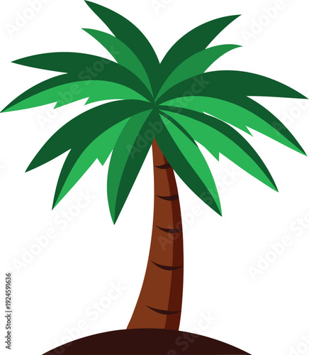 Exotic Palm Tree in Summer Sunlight