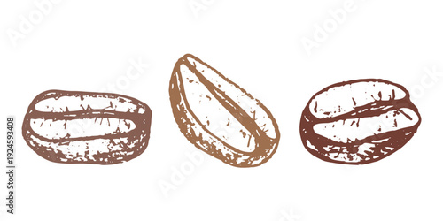 Set of hand drawn fresh roasted coffee bean Arabica robusta seed doodle Single element for design print packaging label decor