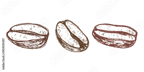 Set of hand drawn fresh roasted coffee bean Arabica robusta seed doodle Single element for design print packaging label decor