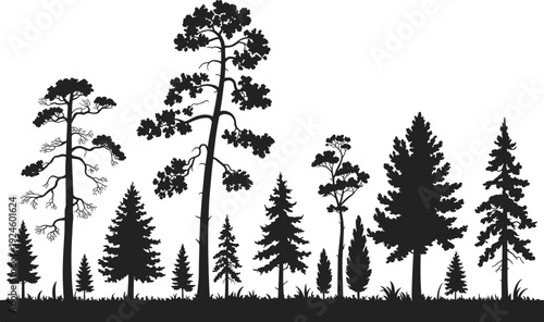 Forest tree silhouettes collection featuring pine and deciduous varieties with grass foreground isolated on white background, detailed woodland landscape elements for nature design projects.